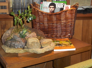 A truly portable rock garden.  Who would have thought it?