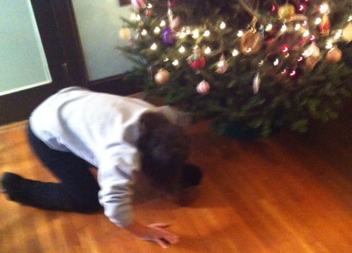 I found poor Sweetie down on her knees wondering how she would get water to the base of the Christmas tree